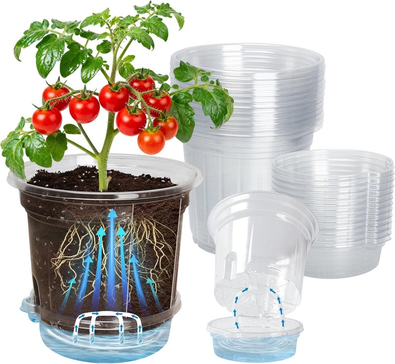 Bluepro 12 Pack 6.5 Inch Clear Self Watering Plant Pots with Bottom Water Tray & Watering Rope, Transparent Nursery Pots with Drainage for Seedlings, Herbs, and Houseplants - Image 1